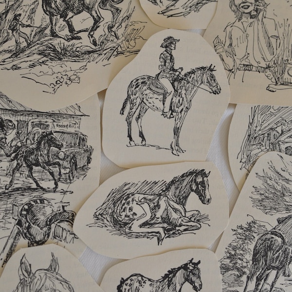 10 pcs Fussy Cut B&W Horse Illustrations from 1961 'Fabulous' by Dorothy Potter Benedict | M Armas Creations | Vintage Ephemera Paper Pack