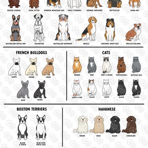 Pick Your Pet Spring Garden Flag - Personalized Pet Yard Flag - Custom Pet Gifts - Family Name Welcome Yard Flag afbeelding 6