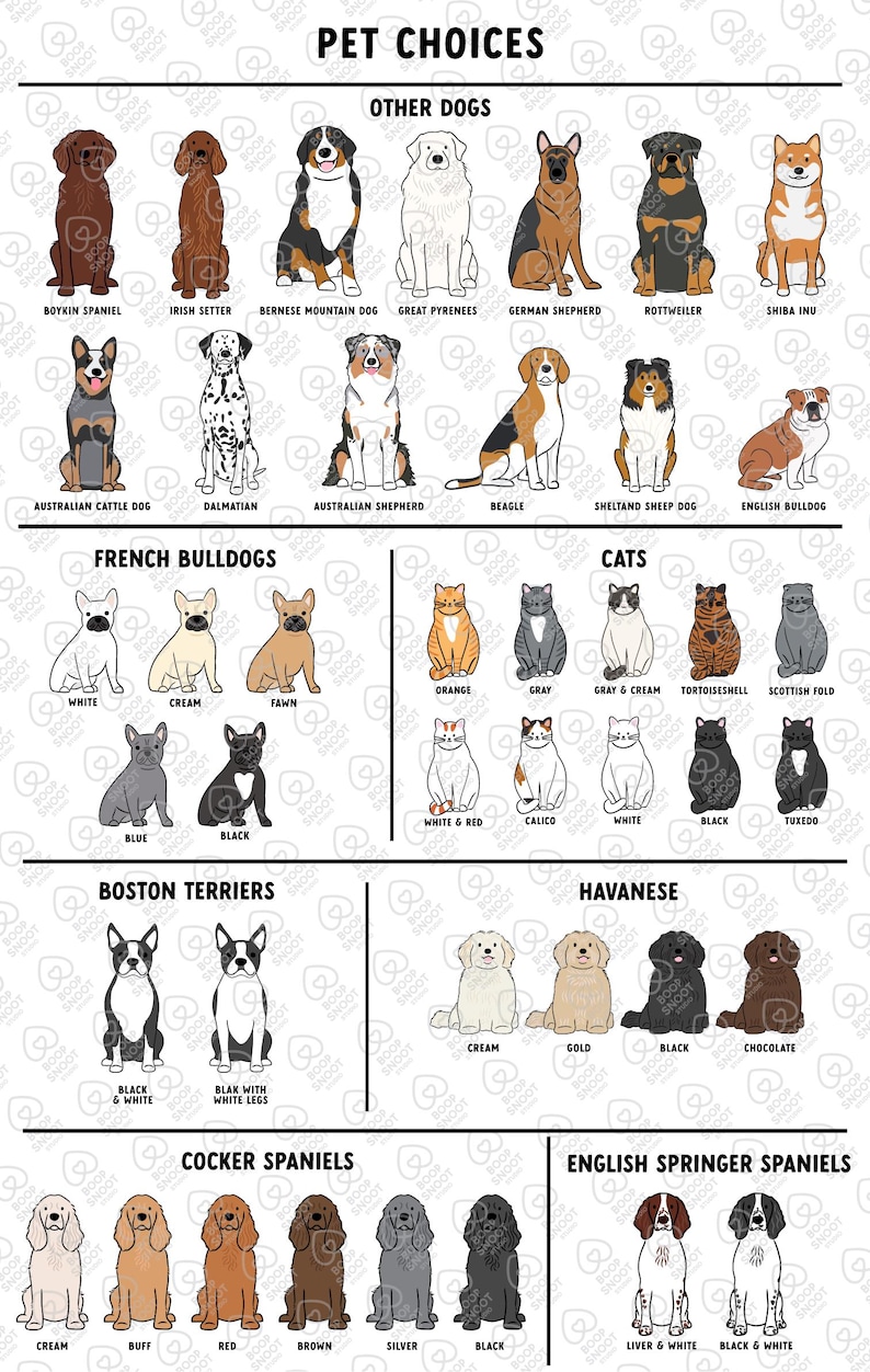 Pick Your Pet Spring Garden Flag - Personalized Pet Yard Flag - Custom Pet Gifts - Family Name Welcome Yard Flag afbeelding 6