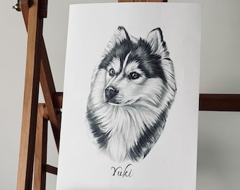 Custom Hand-Drawn Pet Portrait, Pencil Art