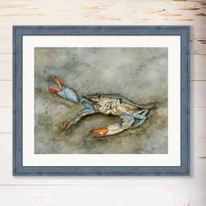 Granchio blu che saluta, stampa artistica giclée 20" x 16" di un dipinto ad acquerello