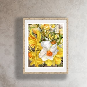 Narzissen Aquarell Giclée Druck: Botanische Kunst, mit mattiertem Faden 76x90 cm