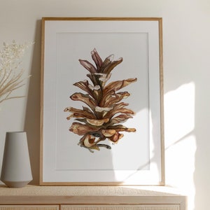 Può includere: Un dipinto ad acquerello incorniciato di una pigna marrone su sfondo bianco. La pigna è rappresentata in dettaglio, con le sue squame e la sua texture visibili.
