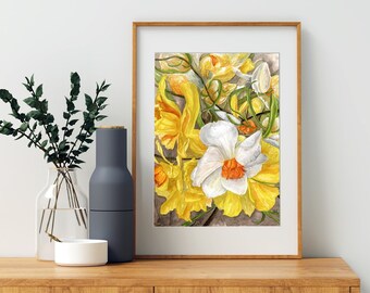 Påskliljor på våren 23x30 cm botaniskt gicléetryck av akvarellmålning.