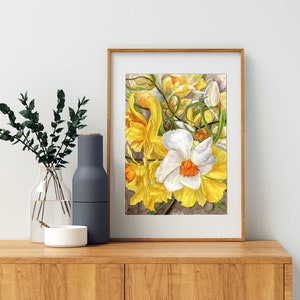 Narzissen im Frühling 9&quot;x12&quot; botanische Giclee Fine Art Druck Aquarellmalerei.