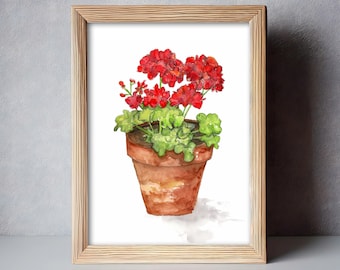 May include: A watercolor painting of a potted red geranium plant with green leaves. The plant is in a terracotta pot and is set against a white background.