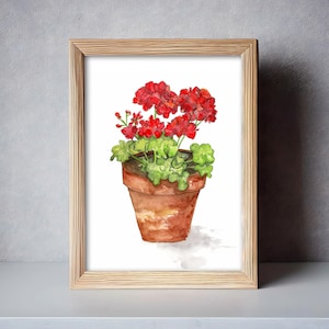 May include: A watercolour painting of a potted red geranium plant with green leaves. The plant is in a terracotta pot and is set against a white background.