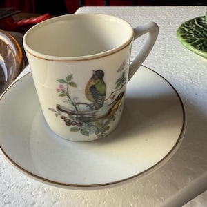 Vintage Royal Crown Demitasse Cup & Saucer  Bird Illustration, Fine Porcelain  Espresso or Display Set