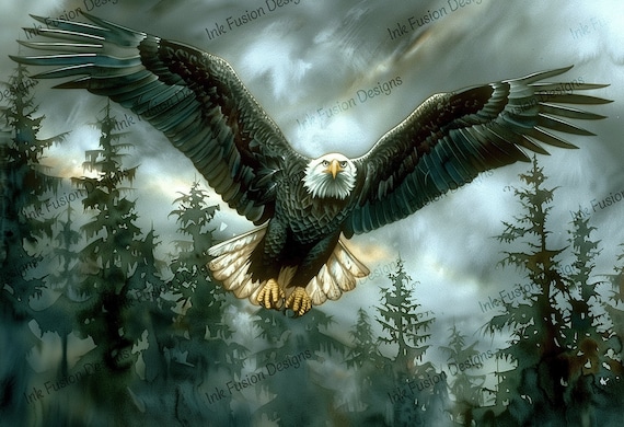 Bald Eagle Portrait Art Paper: Mountain Forest Print