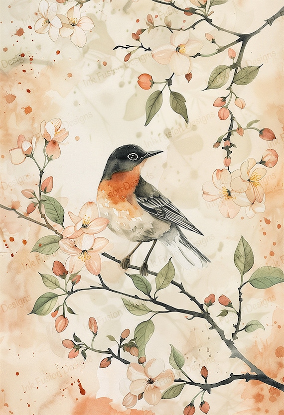 Robin Watercolor Print: Bird and Cherry Blossoms Art Paper