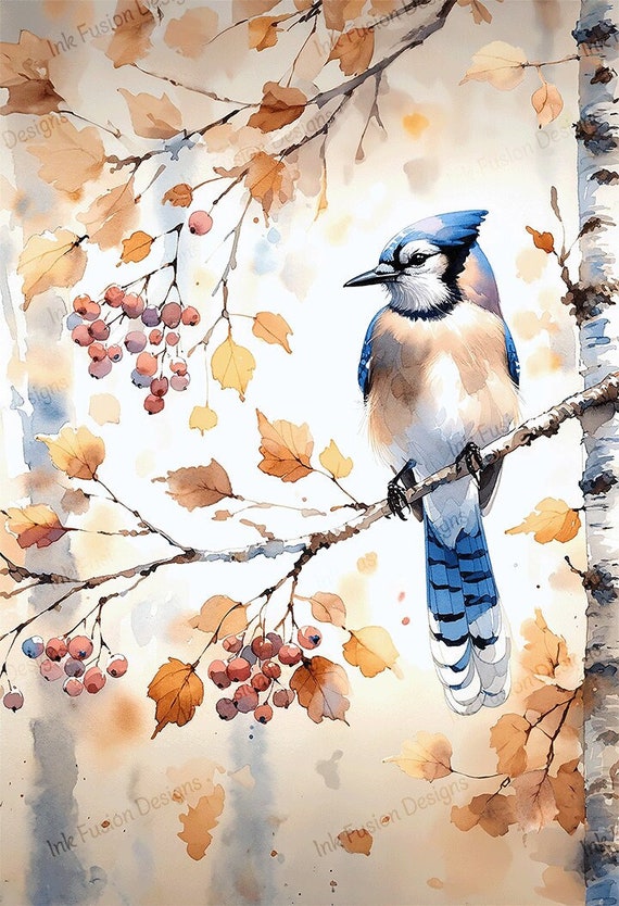 Blue Jay Watercolor Art Print: Autumn Birch Tree, Berries