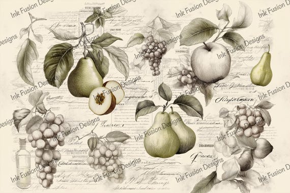 Vintage Fruit Decoupage Paper: Pear, Apple, Grape Art Print
