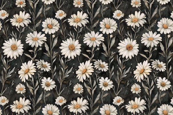 White Daisy Art Paper: Elegant Floral Print on Black Velvet