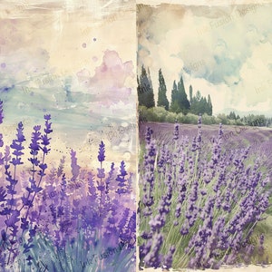 Campi di lavanda per sempre - 2 immagini 1 foglio / Carta decorativa / Paesaggio floreale di lavanda da sogno / Alta qualità / Opzioni di carta e formato