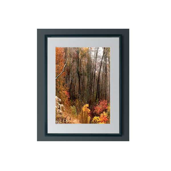 Digital photo,down the cliff,crisp,vibrant tapestry of reds,oranges,yellows,browns, earth tones, change of seasons, essence of fall textures