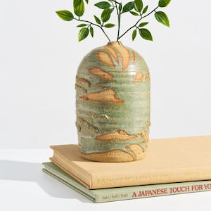 May include: A green and tan ceramic vase with a textured surface and a branch of green leaves. The vase is sitting on top of two books. The books have the text "DESIGNERS OWN HOMES" and "A JAPANESE TOUCH FOR YOUR".