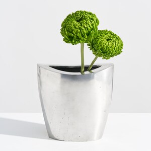 Puede incluir: Un jarrón moderno de metal cepillado sostiene dos vibrantes flores verdes. El jarrón tiene una forma curva única con un interior oscuro, creando un contraste llamativo con las brillantes flores. El arreglo se encuentra sobre un fondo blanco limpio.