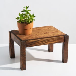 May include: A small, square wooden table with a dark brown finish. A terracotta pot with a green plant sits on top. The table has four sturdy legs and is suitable for displaying plants or other decorative items.