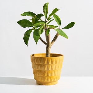 1960s Vintage Fesco Molded Plastic Planter // Retro MCM Yellow Flower Pot with Geometric Pattern