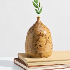 Puede incluir: Un jarrón de cerámica marrón con un esmalte moteado se encuentra sobre dos libros. Una pequeña planta verde está en el jarrón.