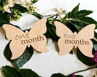 Baby Milestones, Butterfly Milestones, Monthly Baby Milestones, Custom Milestones, Baby Milestone Markers, Baby Milestone Props, Baby Shower