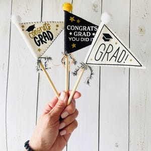 Graduation Party Supplies