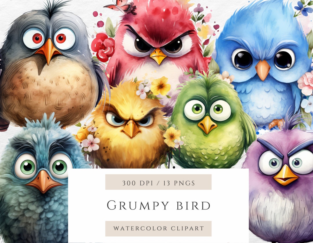 Grumpy Bird Watercolor Clipart, Cute Colorful Funny Birds With Flowers ...
