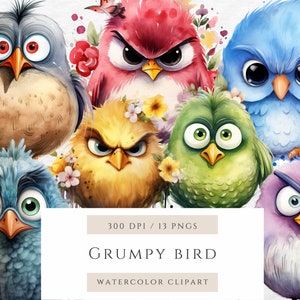 Grumpy Bird Watercolor Clipart, Cute Colorful Funny Birds With Flowers, Transparent PNGs, Graphics For Nursery, Digital Download, Commercial