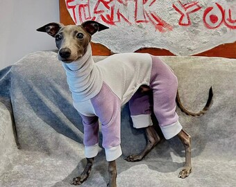 Baby Blue and Purple Onesie - Winter Fleece Onesies for Whippets and Italian Greyhounds