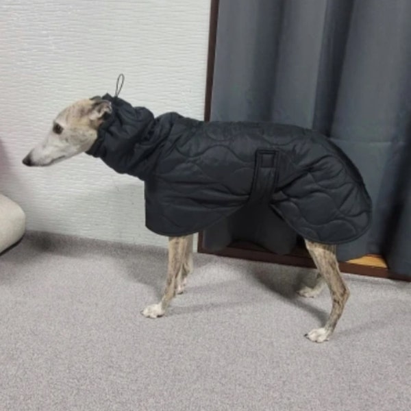 Quilted Winter Dog Coat for Whippets, Italian Greyhounds, Lurchers. Adjustable neck and body strap.