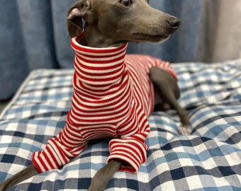 Red Striped Whippet Turtleneck Sweater