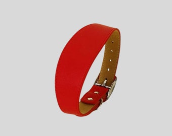 Rotes Martingale Halsband