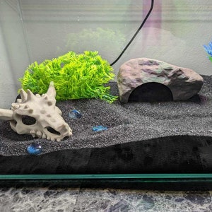 3D Printed Dragon Skull Fish Hide: Aquarium Terrarium Decor