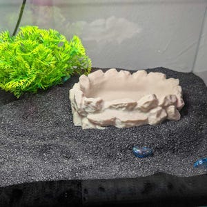 Reptile Water Bowl with Ramp: 3D Printed Gecko Bath