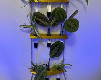 Pflanztopf Vermehrungsstation Vase