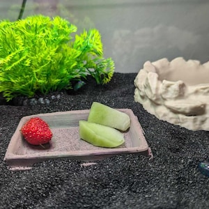 Reptile Feeding Bowl | Customizable Non-Toxic Dish for Geckos, Turtles, Bearded Dragons | Durable Pet Food Dish, Terrarium Decor