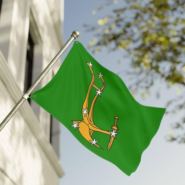 Starry Plough Flag Double Sided Flag | 1914 Irish Citizen Army Banner