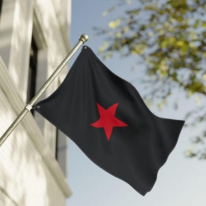 May include: A black flag featuring a red star, displayed on a silver pole. The flag is billowing in the breeze, with a building and foliage visible in the background. The flag is made of a dark material.