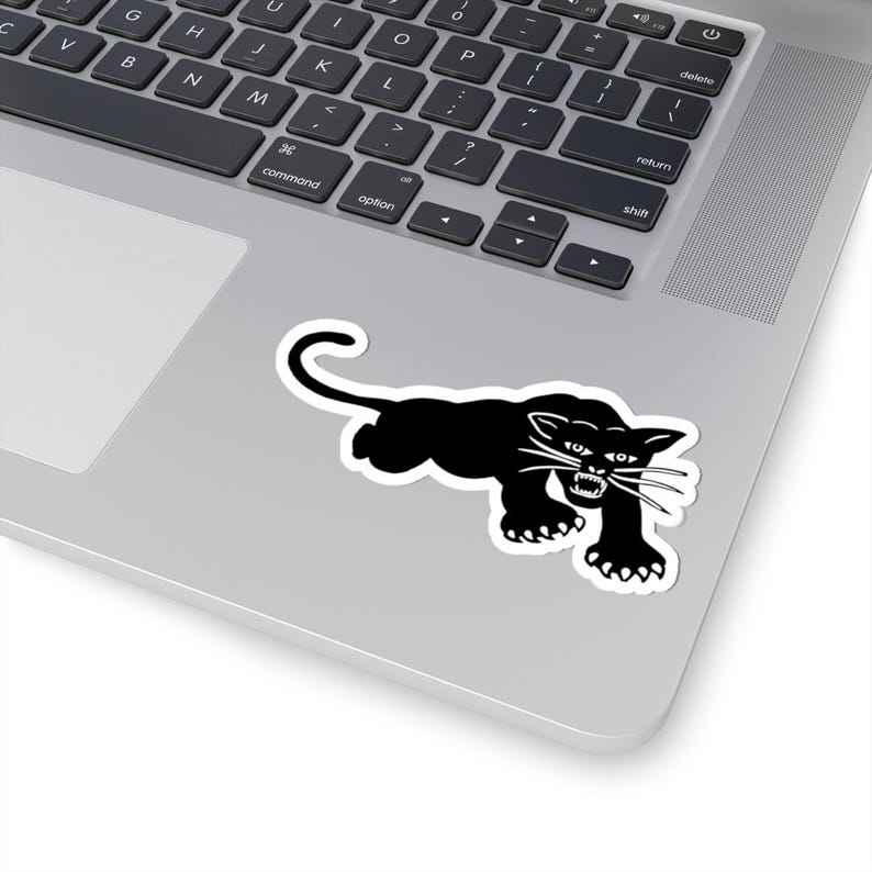 Black Panther Party Sticker: Glossy Vinyl Activist Art 4" × 4"