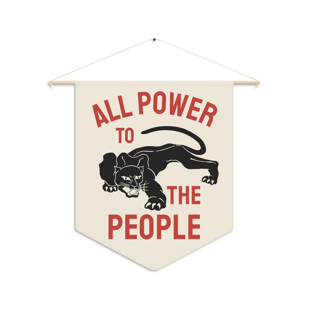 THE BLACK PANTHER すべての権力を人民へ il_1080xN.7441233413_jwc5.jpg