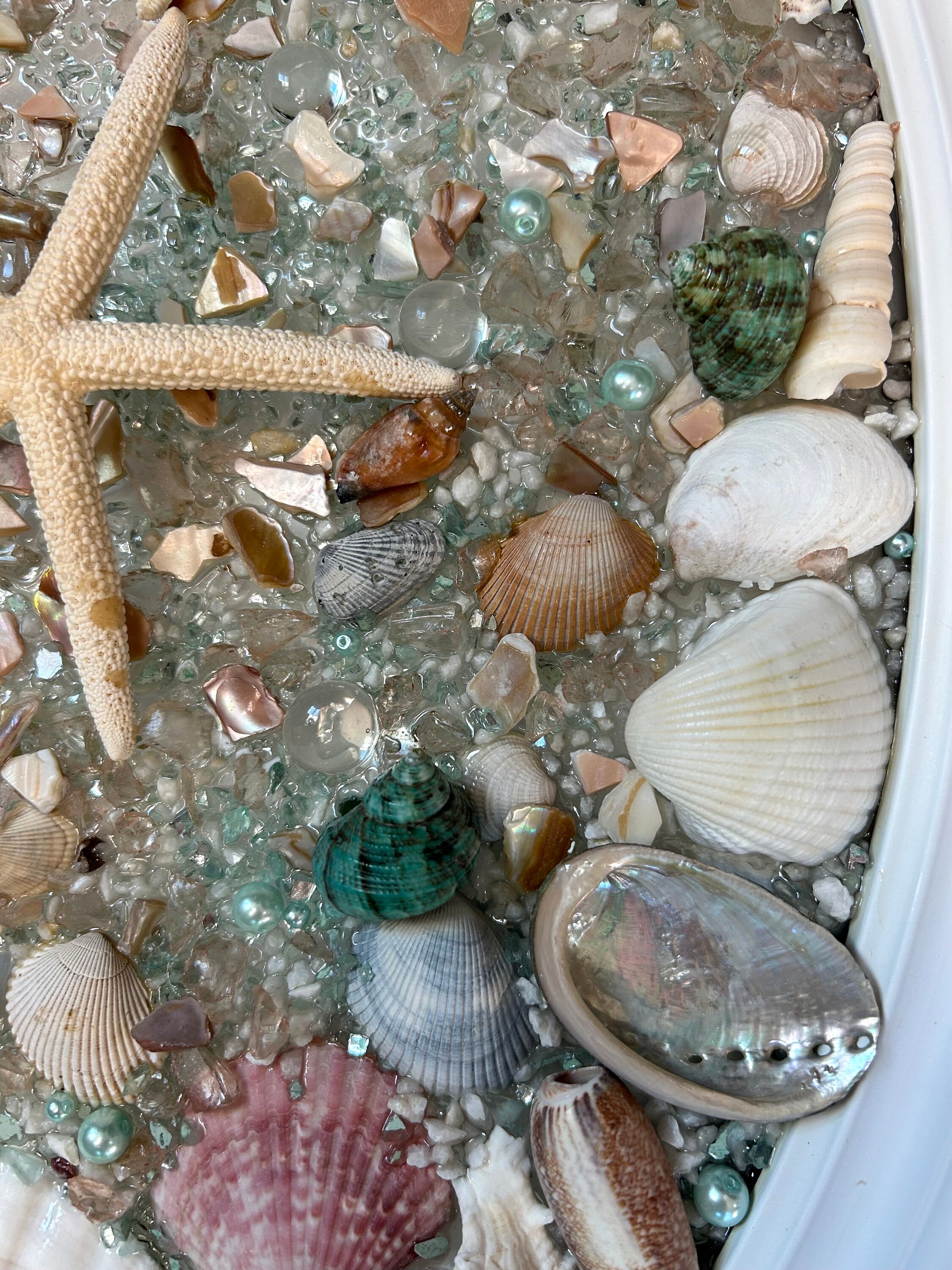 Seashell Resin Art/beach House Decor/coastal Wall Art/starfish Sea ...