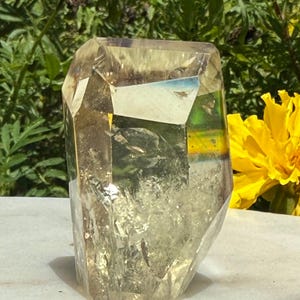 Citrine  Freeform - Crystal Home Decor - Natural Stone -