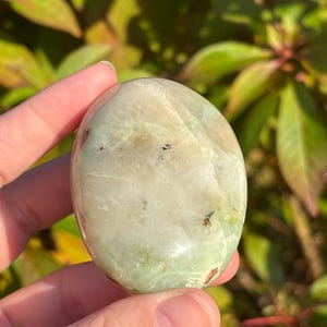 May include: A smooth, polished green and white gemstone with a rounded shape. The stone has a natural, organic look and is perfect for crystal healing or decoration.