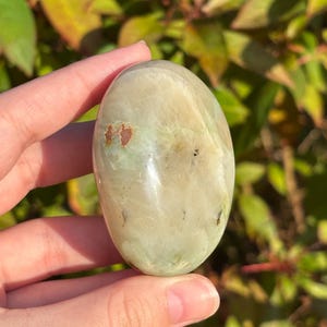 May include: A smooth, oval-shaped green and white polished stone with brown and black inclusions. The stone is held in a hand.