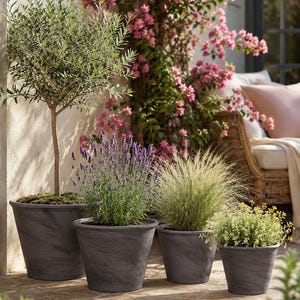 Può includere: Un set di quattro vasi conici grigio scuro con una sottile trama marmorizzata, disposti in fila. Ogni contenitore ospita una pianta diversa, tra cui un piccolo ulivo, lavanda viola, erba ornamentale e un piccolo arbusto fiorito.