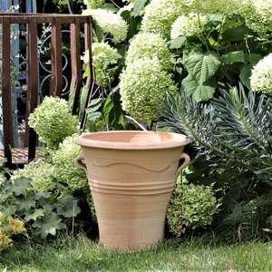 Peut inclure: Un pot en terre cuite avec deux anses, posé sur un lit d'herbe verte dans un jardin. Le pot est entouré de verdure et de fleurs blanches.