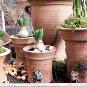 Könnte beinhalten: Drei Terrakotta-Töpfe mit darin gepflanzten Hyazinthenzwiebeln. Die Töpfe sind mit einem erhabenen Drachenkopf-Design verziert. Die Töpfe stehen auf einer Holzoberfläche mit einem Drahtgitter.