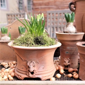 Può includere: Un vaso di terracotta con un designo di viso fantasioso, riempito di piante verdi e muschio. Il vaso è circondato da piccole lampadine marroni.