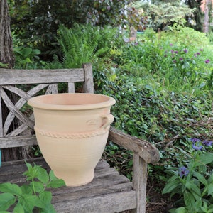 Peut inclure: Un grand pot en terre cuite avec un motif de corde autour du bord. Le pot est posé sur un banc en bois dans un jardin.