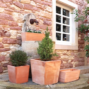 Op de afbeelding: Een verzameling vierkante en rechthoekige terracotta plantenbakken, sommige met kleine groenblijvende bomen en struiken. De plantenbakken staan in de buurt van een stenen muur en een raam, wat een rustieke buitententoonstelling creëert.